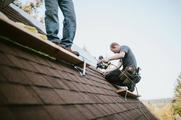 Best Roof Gutter Cleaning  in Kotlik, AK
